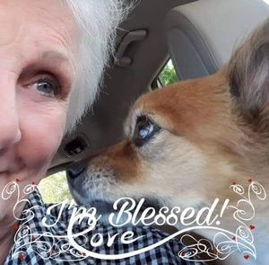 Meet your Posher, Ann